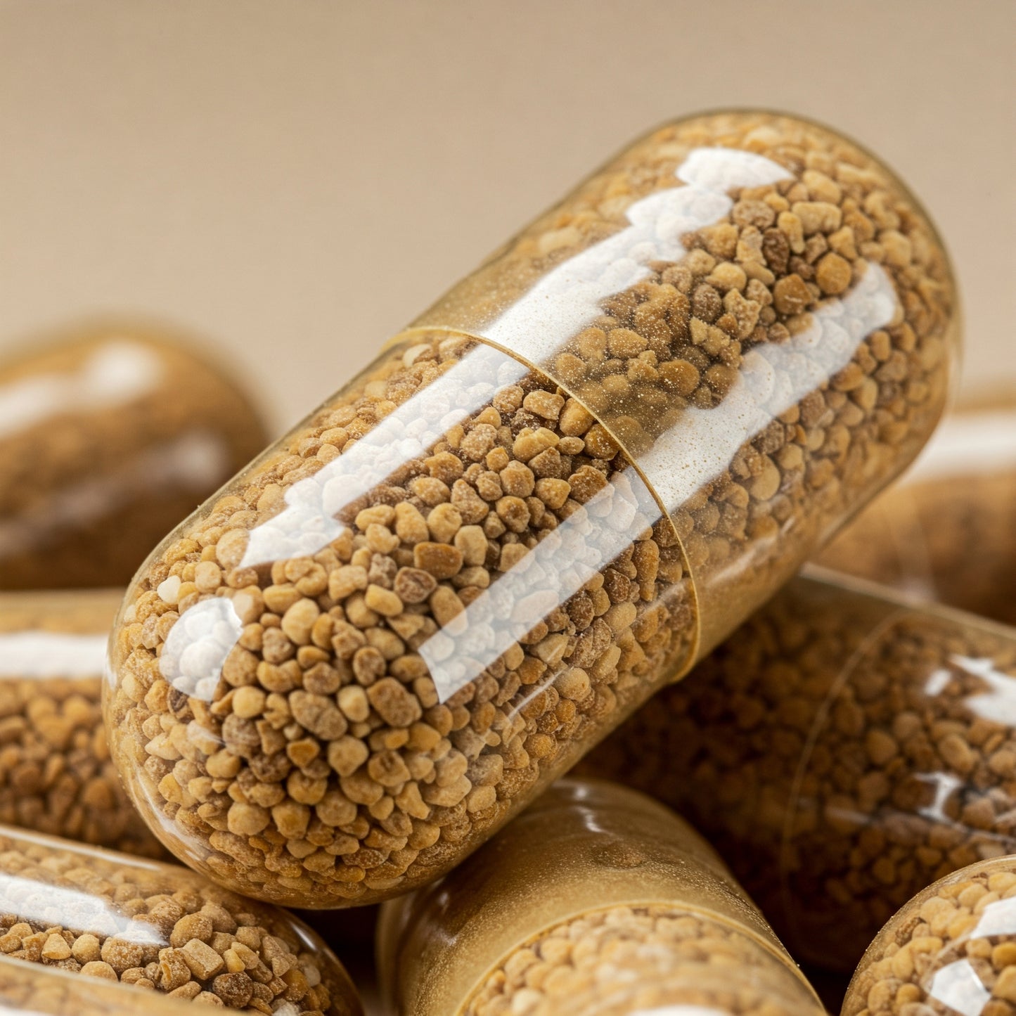 Turkey Tail 500 mg Capsule