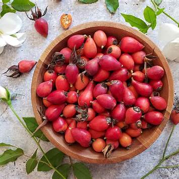 Dried Rose Hips