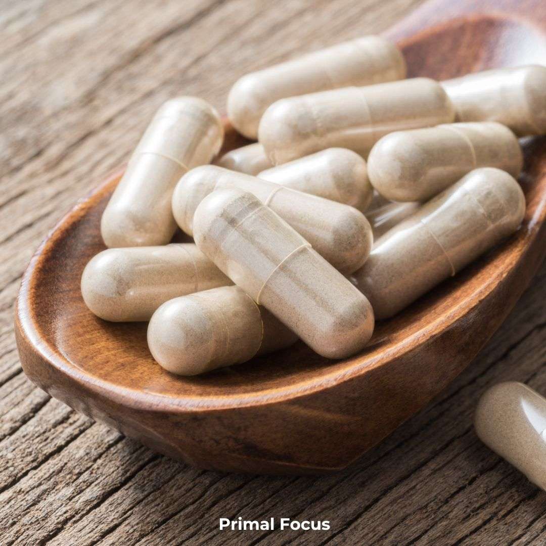 Lion's Mane - 500 mg Capsule